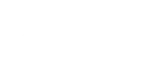 Blois Construction
